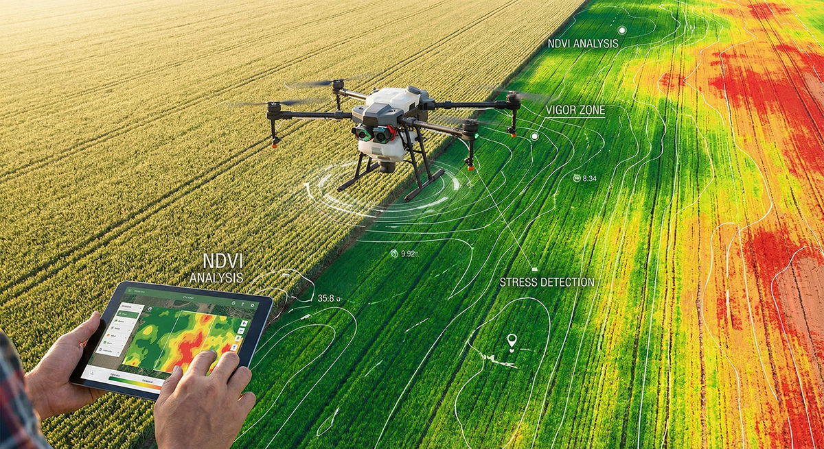 Mapeamento de processamento de imagens na Agricultura